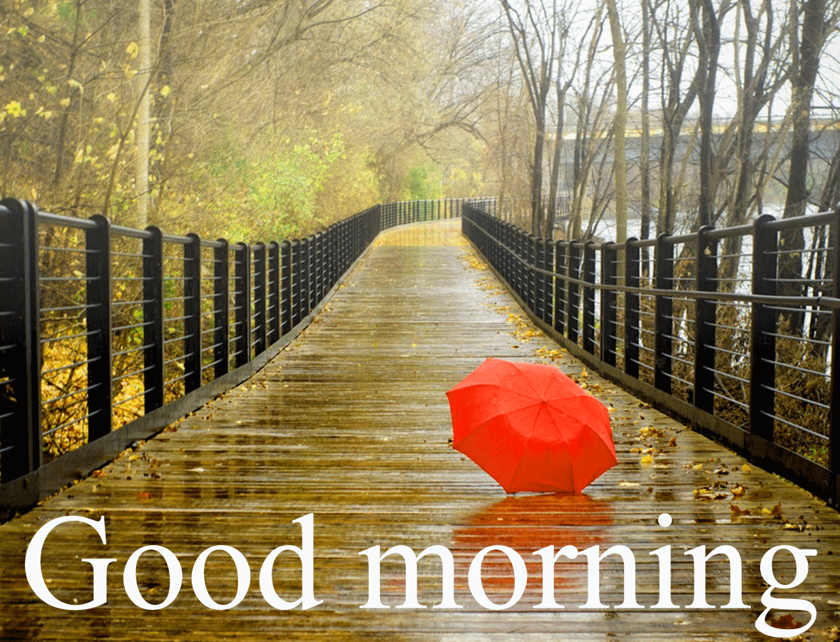 Good Morning Rainy Day Images Wallpapers