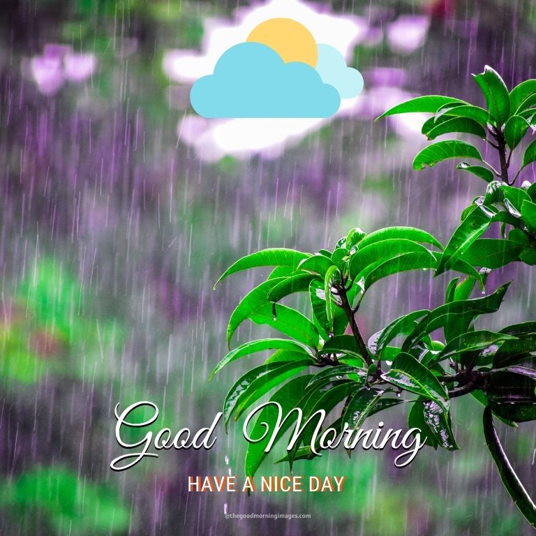 Good Morning Rainy Day Images Wallpapers