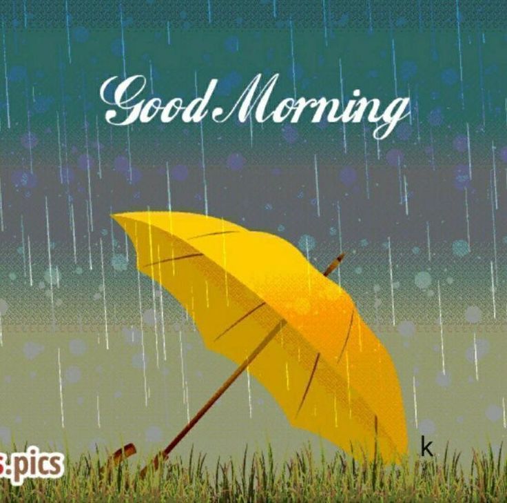 Good Morning Rainy Day Images Wallpapers