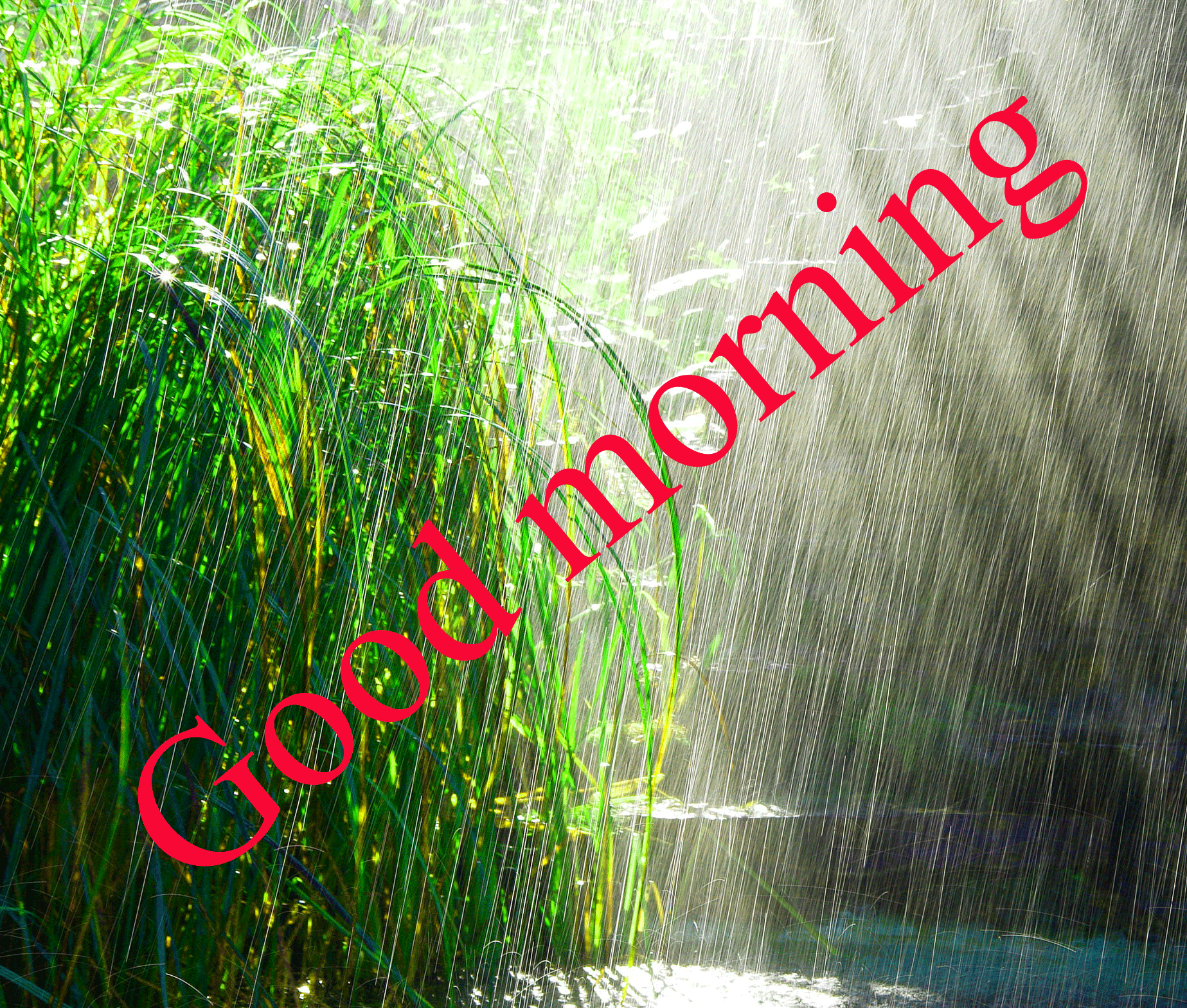 Good Morning Rainy Day Images Wallpapers