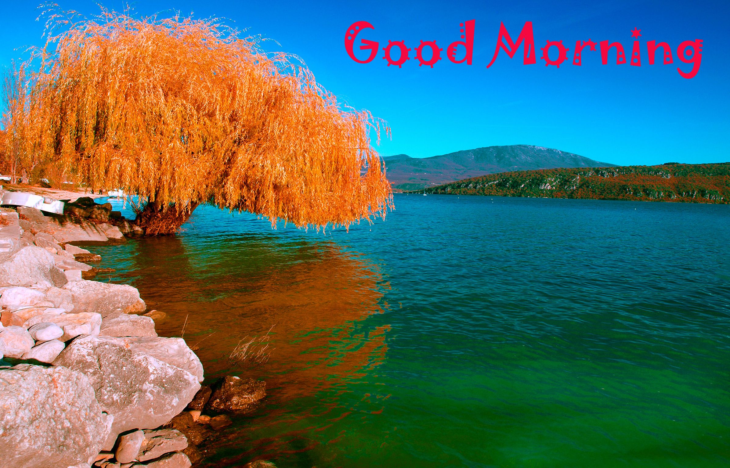 Good Morning Scenery Images Wallpapers