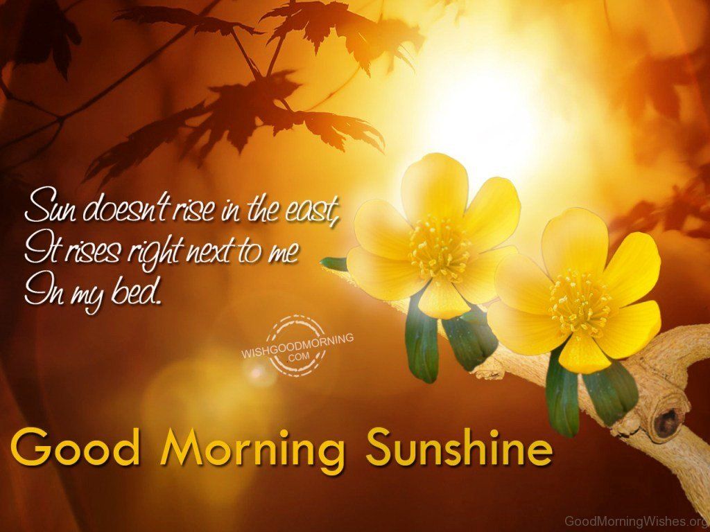 Good Morning Sunshine Pictures Wallpapers