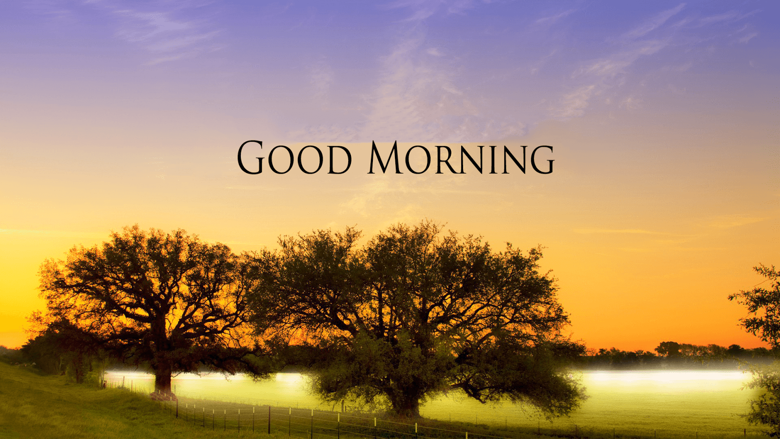 Good Morning Sunshine Pictures Wallpapers