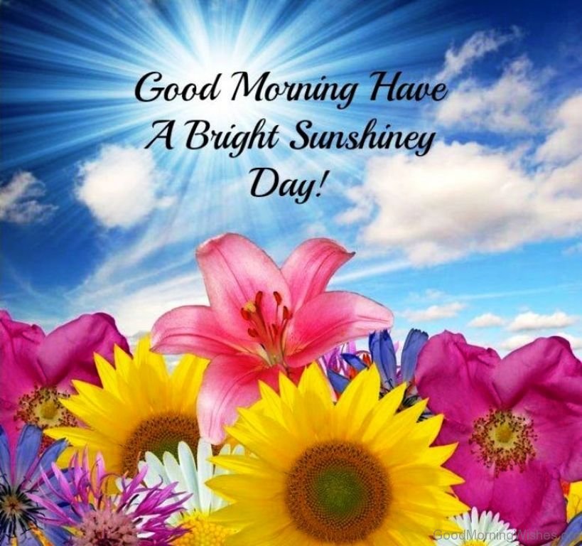 Good Morning Sunshine Pictures Wallpapers