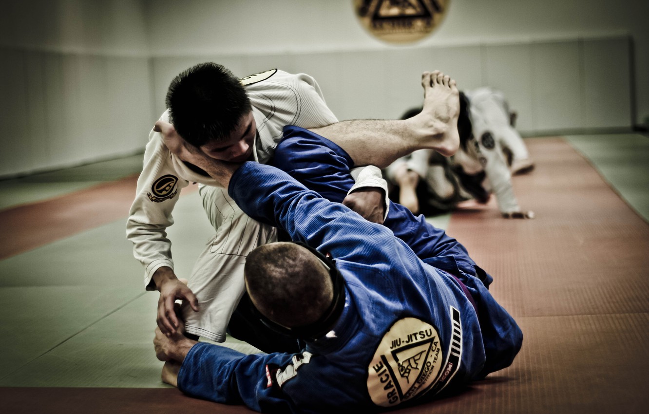 Gracie Jiu Jitsu Wallpapers