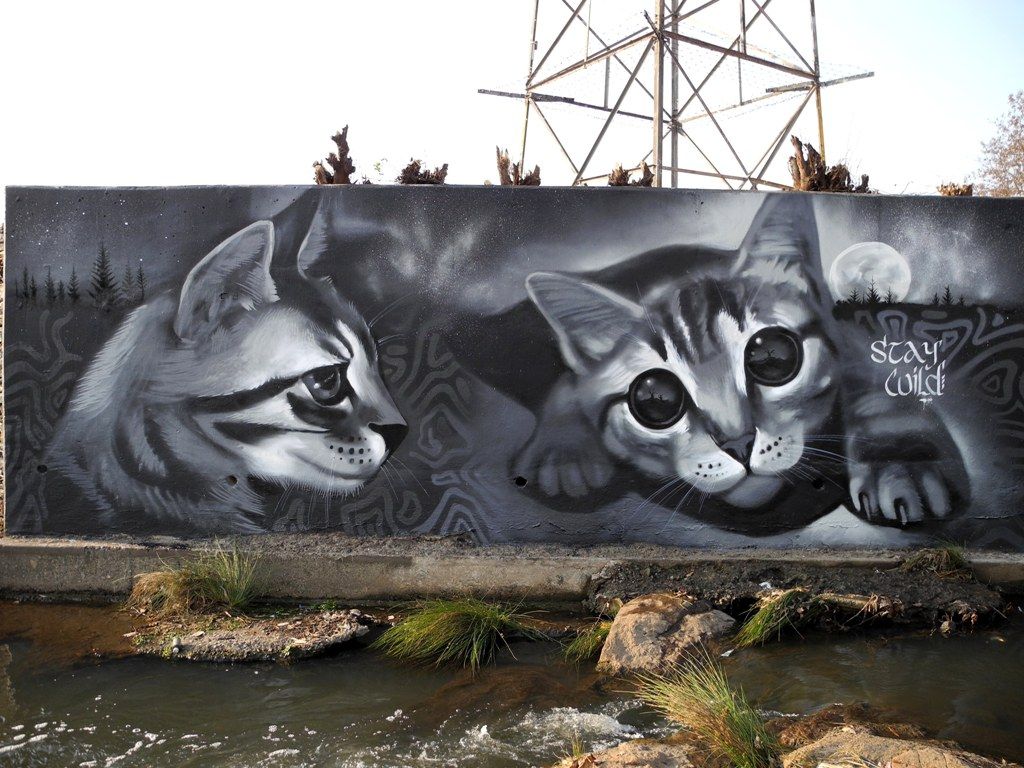 Graffiti Cat Wallpapers