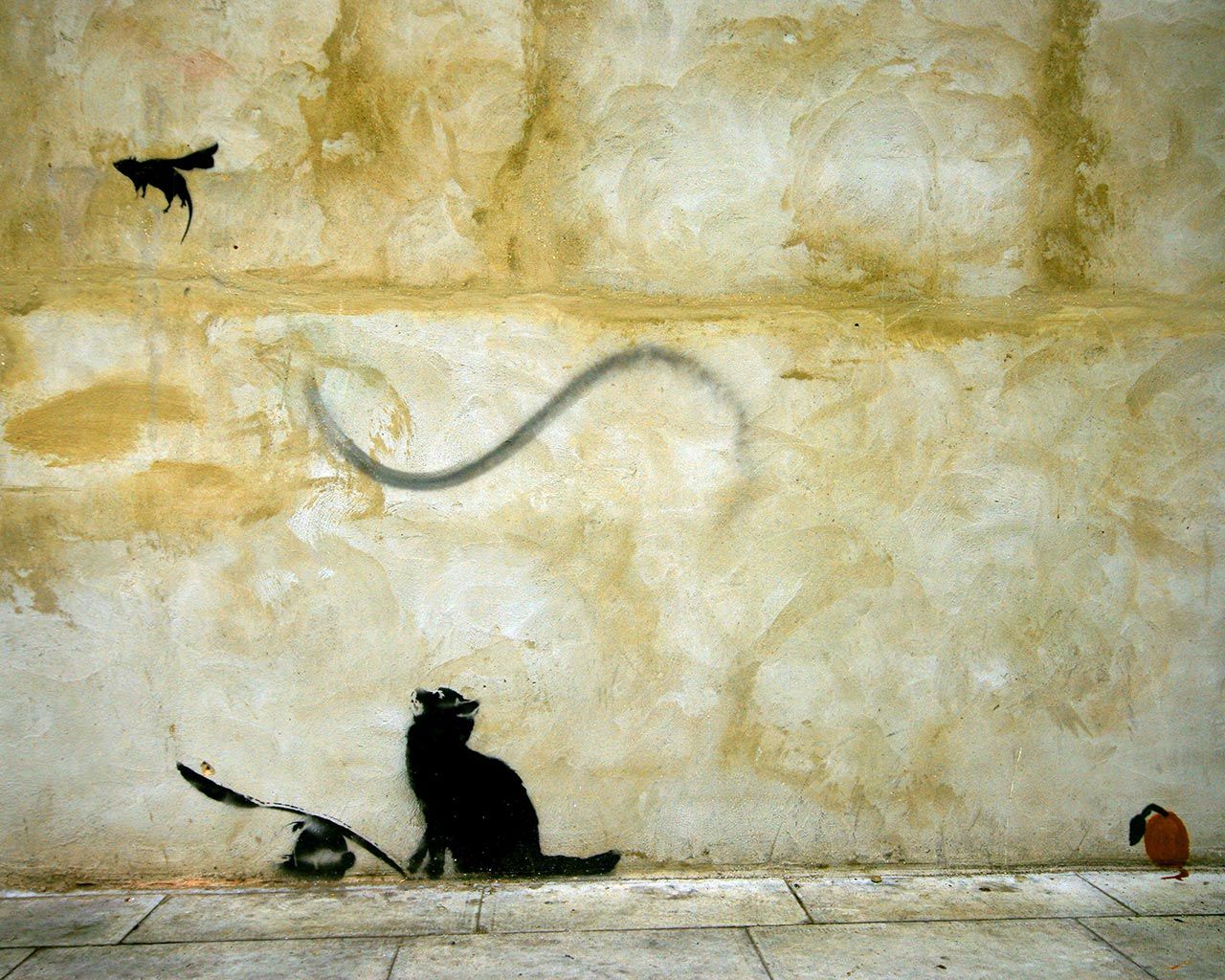 Graffiti Cat Wallpapers