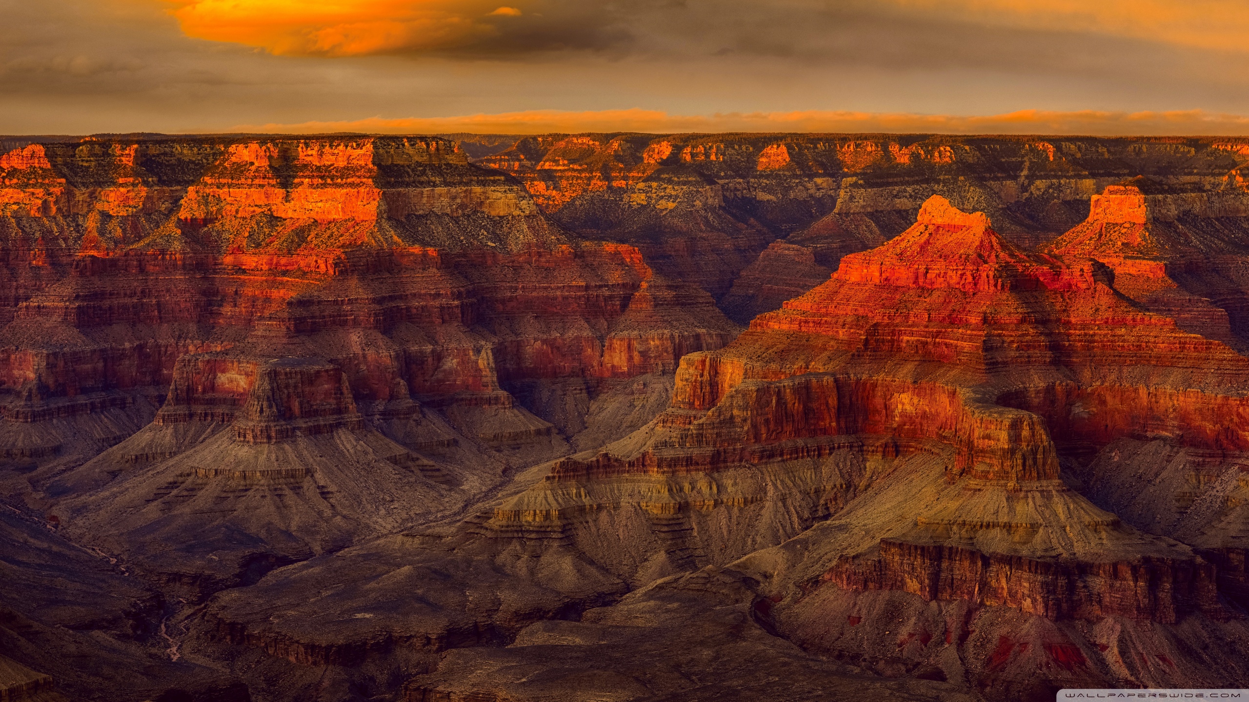 Grand Canyon Landscape Wallpapers