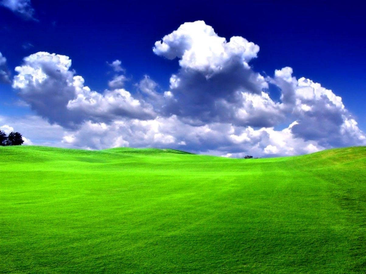 Grass And Sky Wallpapers