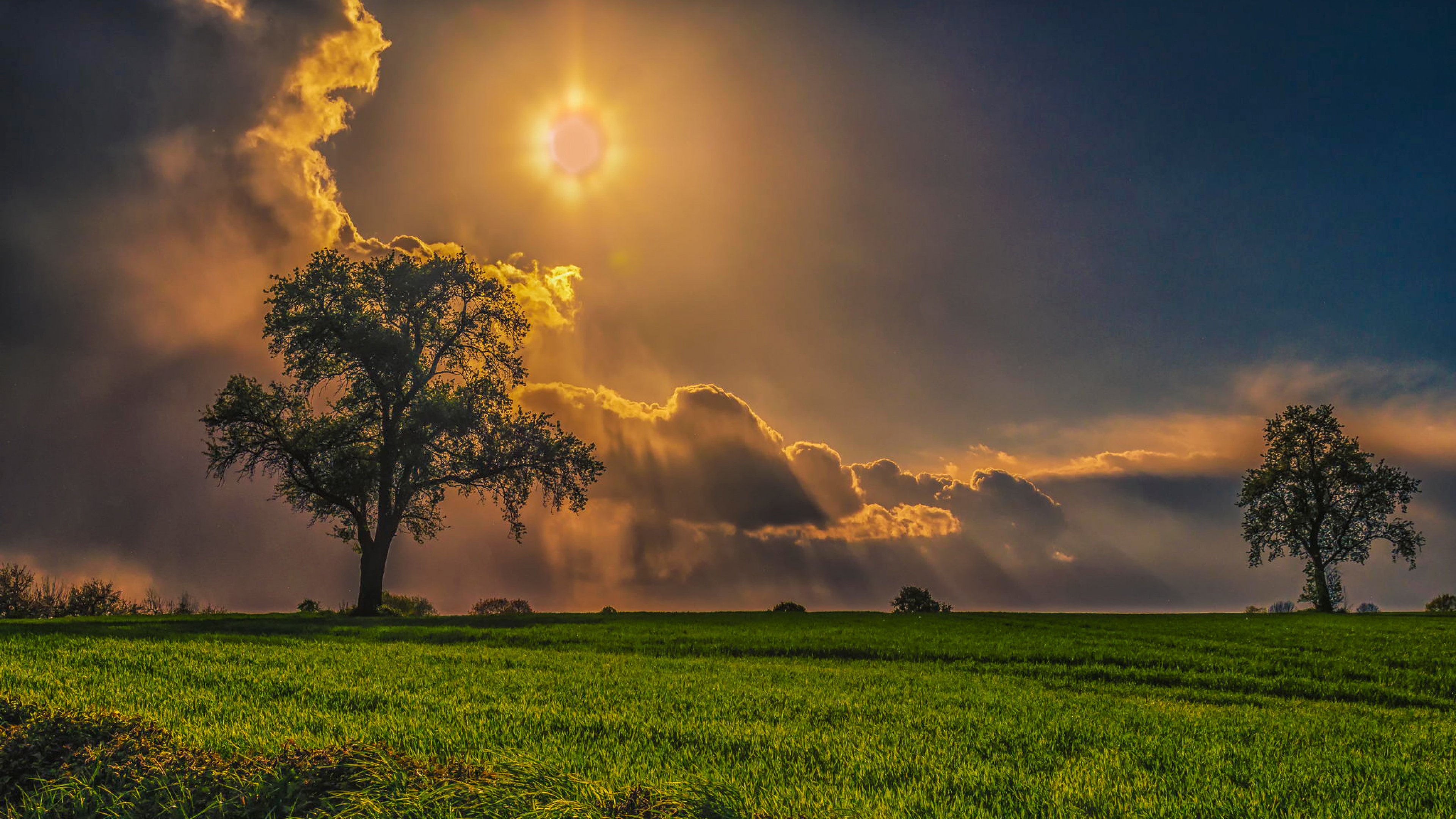 Grass And Sky Wallpapers