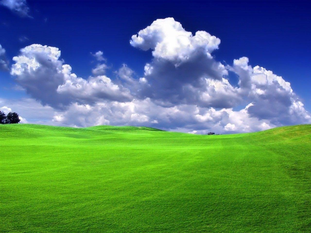 Grass Hd Wallpapers