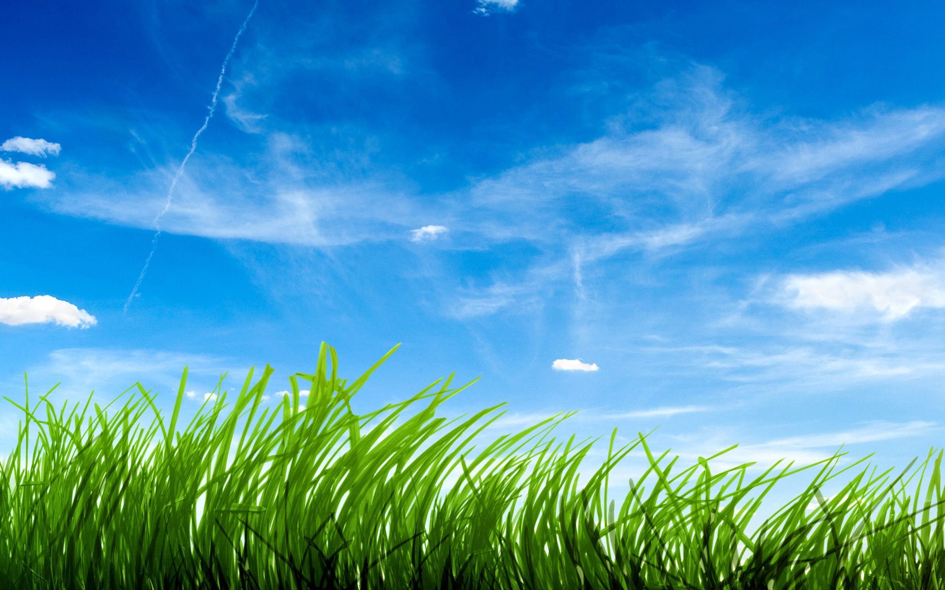 Grass Hd Wallpapers