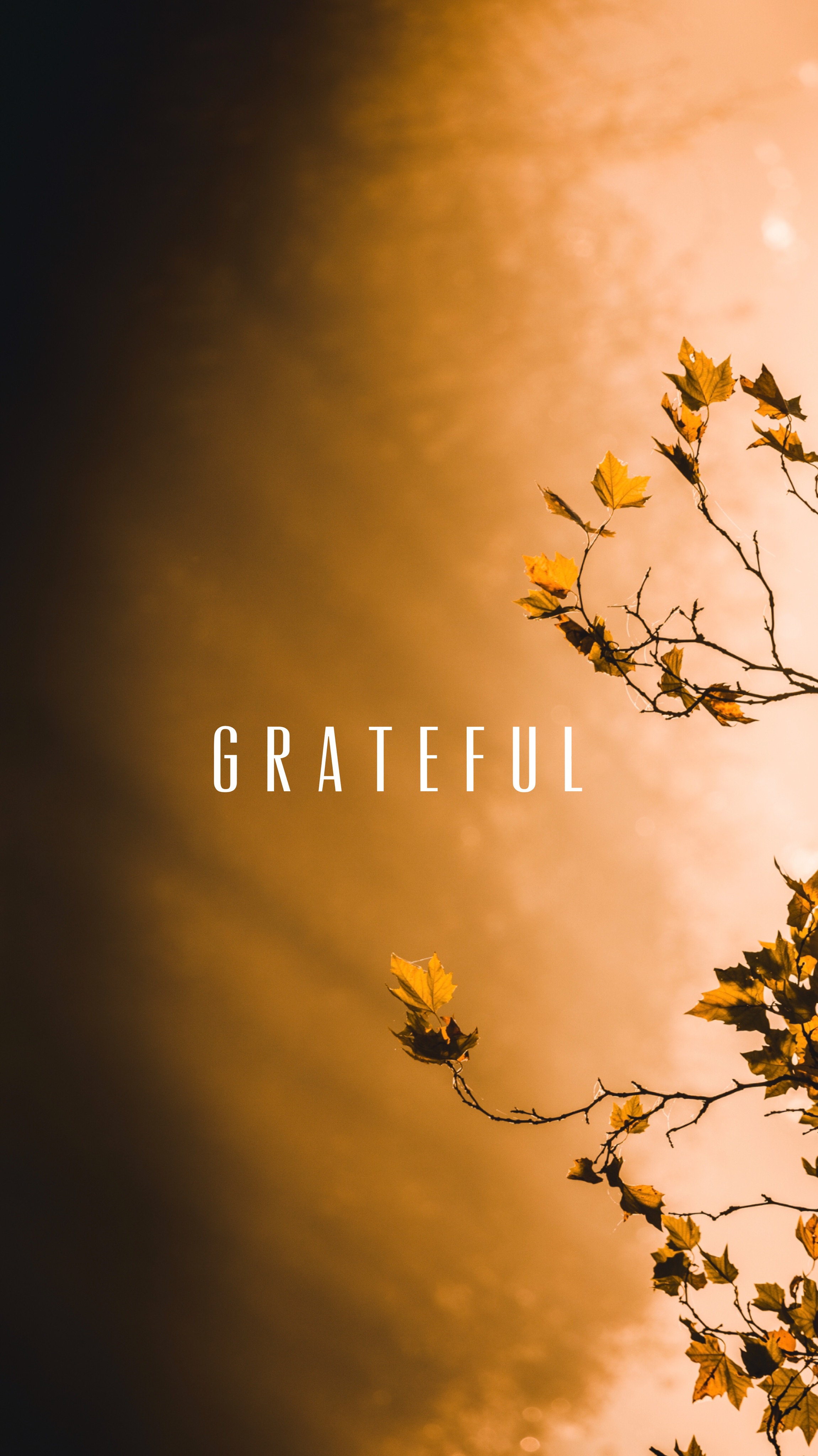 Grateful Wallpapers