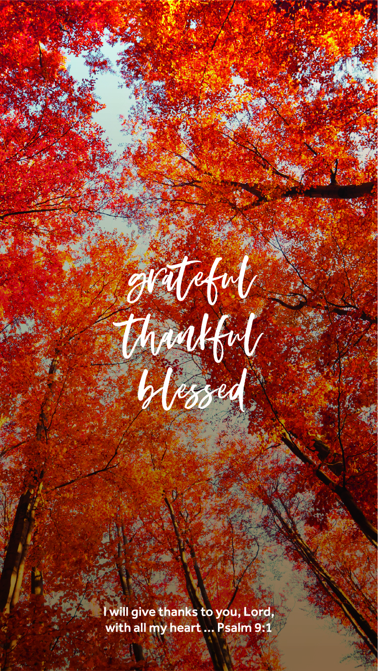 Grateful Wallpapers