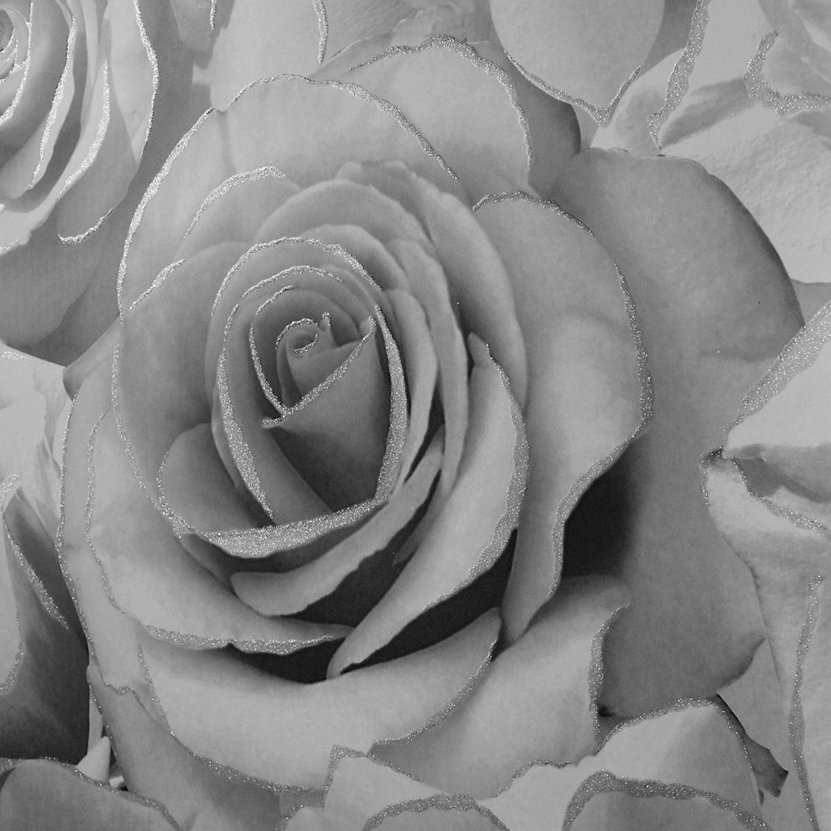 Gray Roses Wallpapers