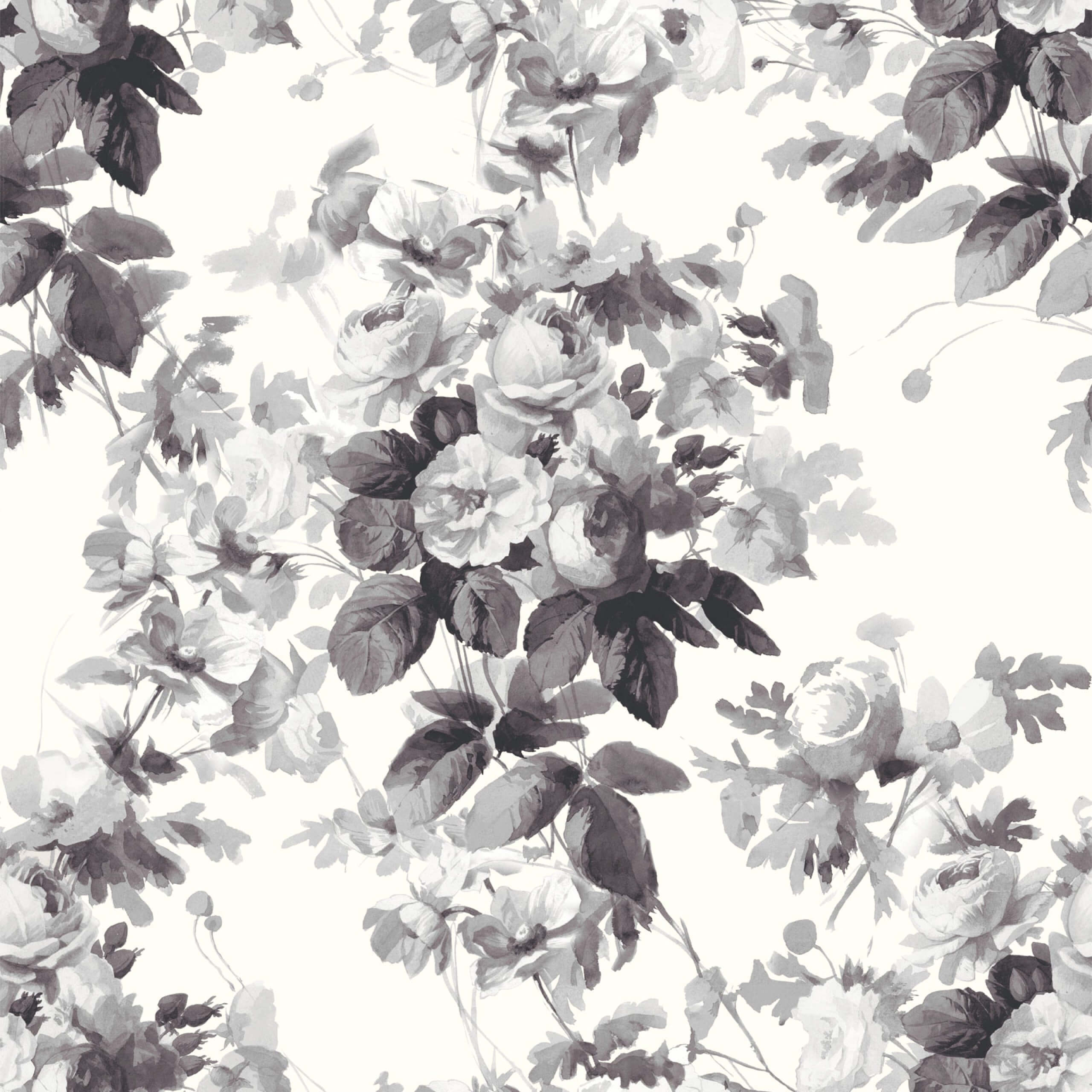 Gray Roses Wallpapers