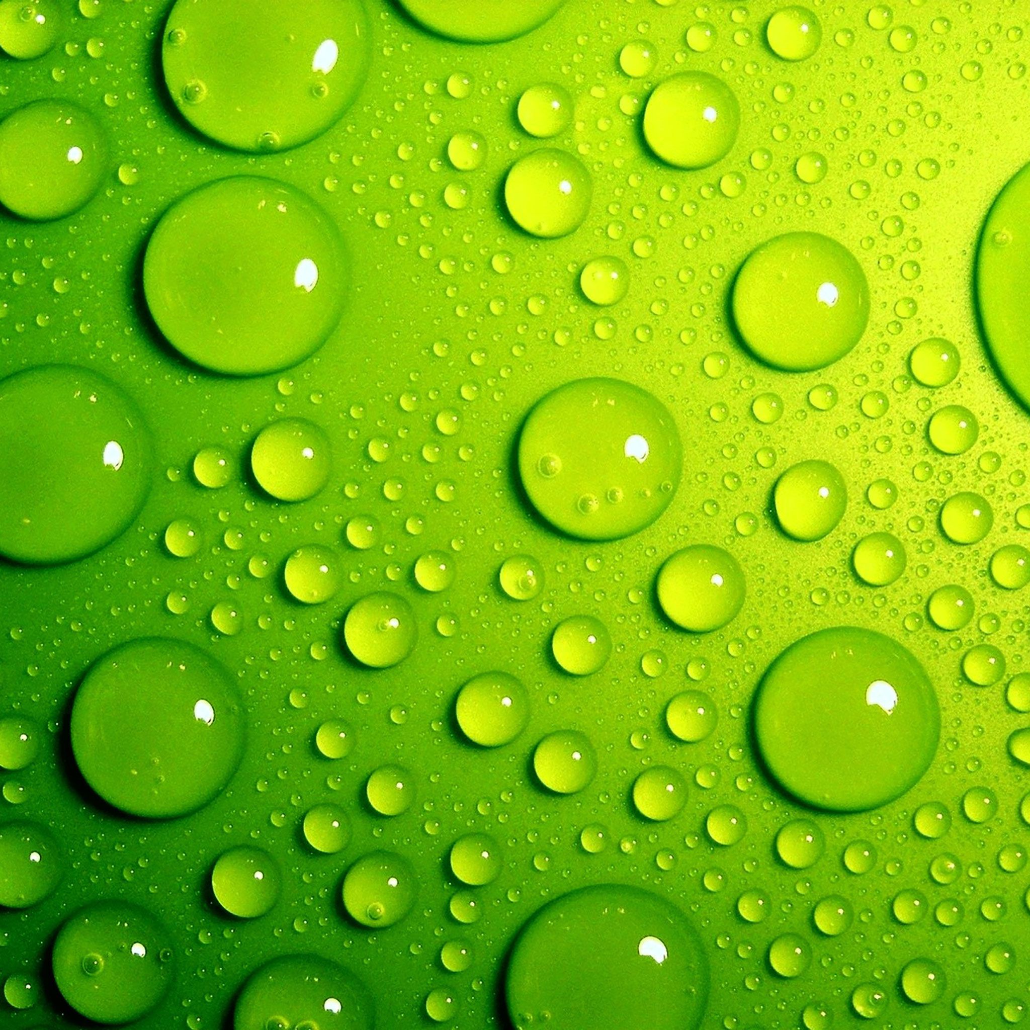 Green And Yellow Wallpapers