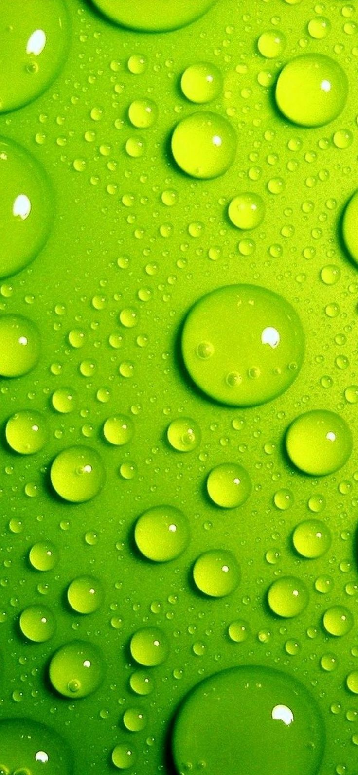 Green Bubbles Wallpapers