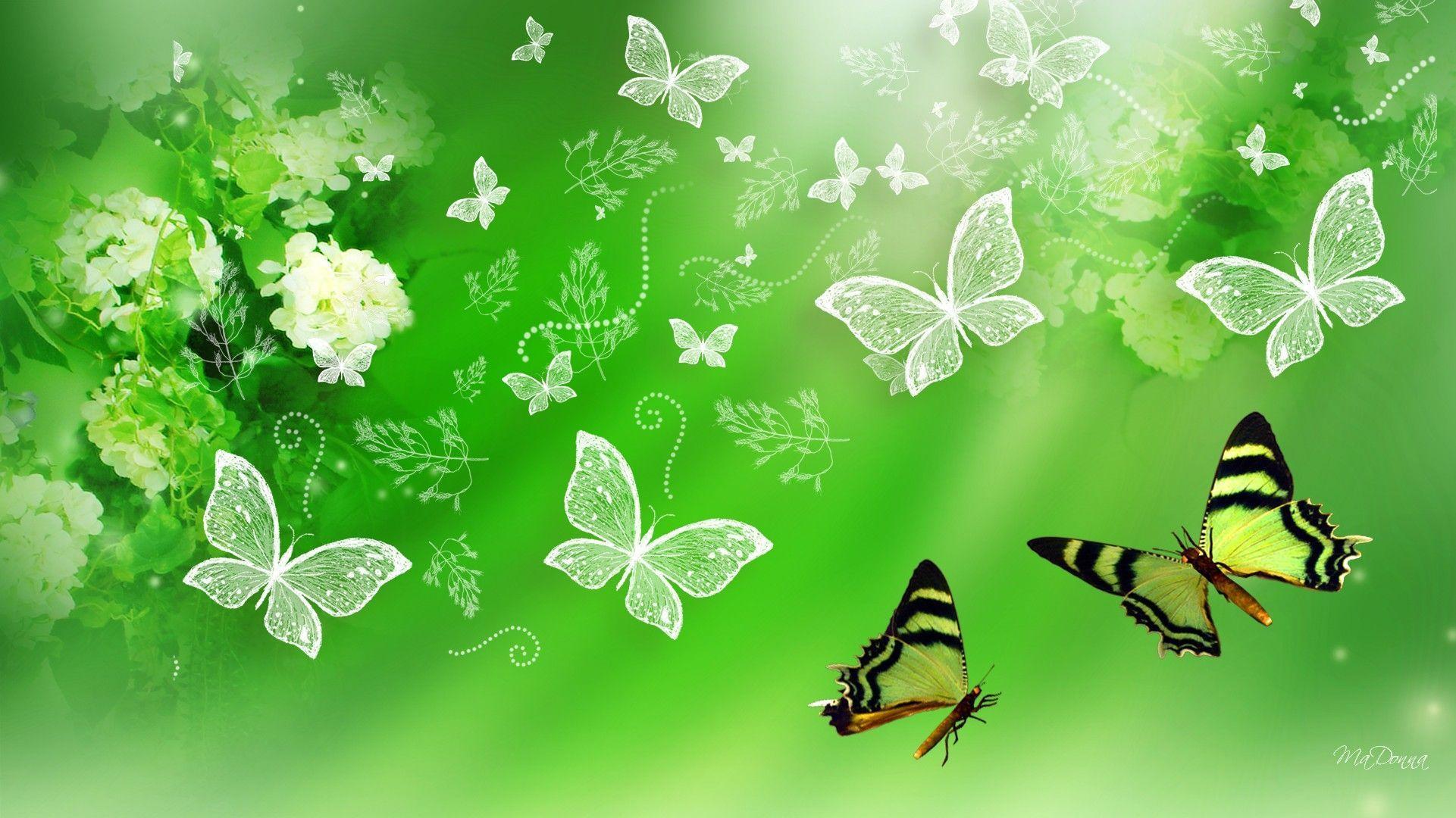 Green Butterfly Wallpapers