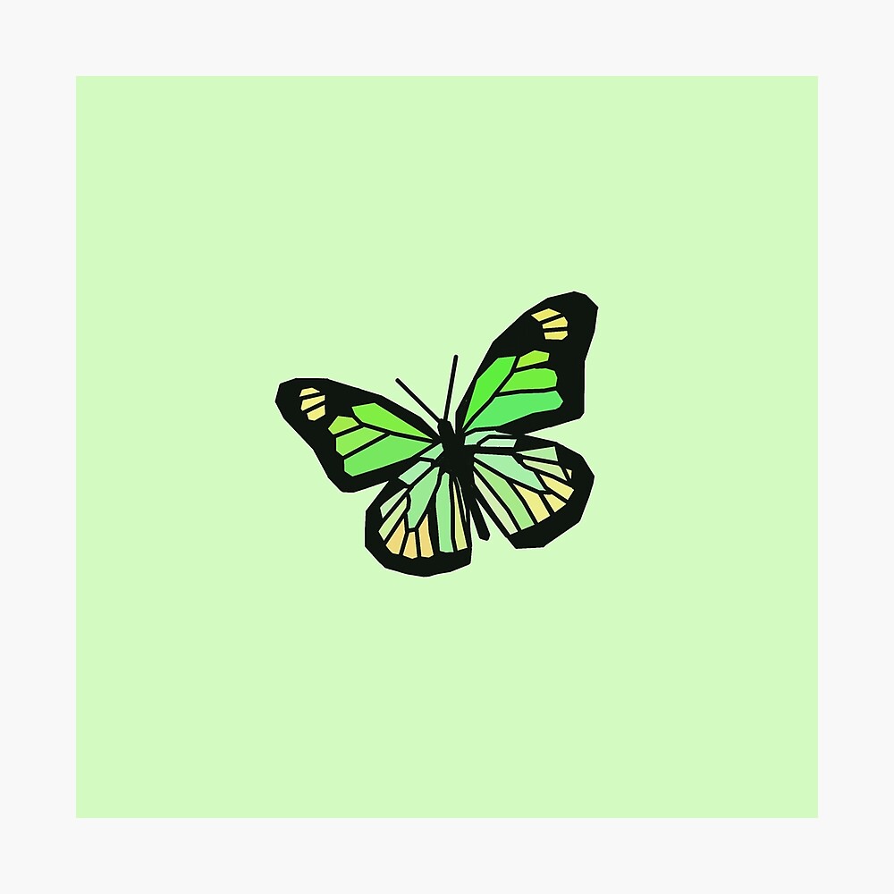 Green Butterfly Wallpapers