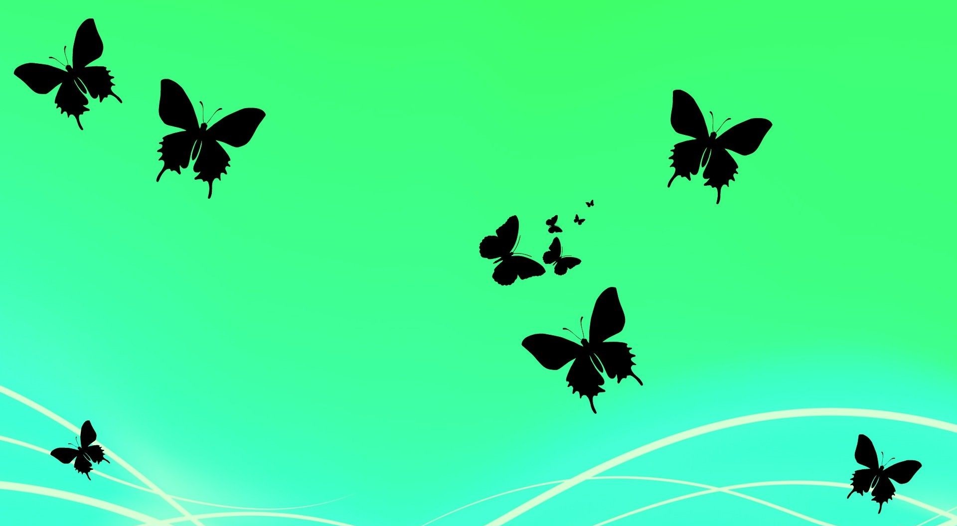 Green Butterfly Wallpapers