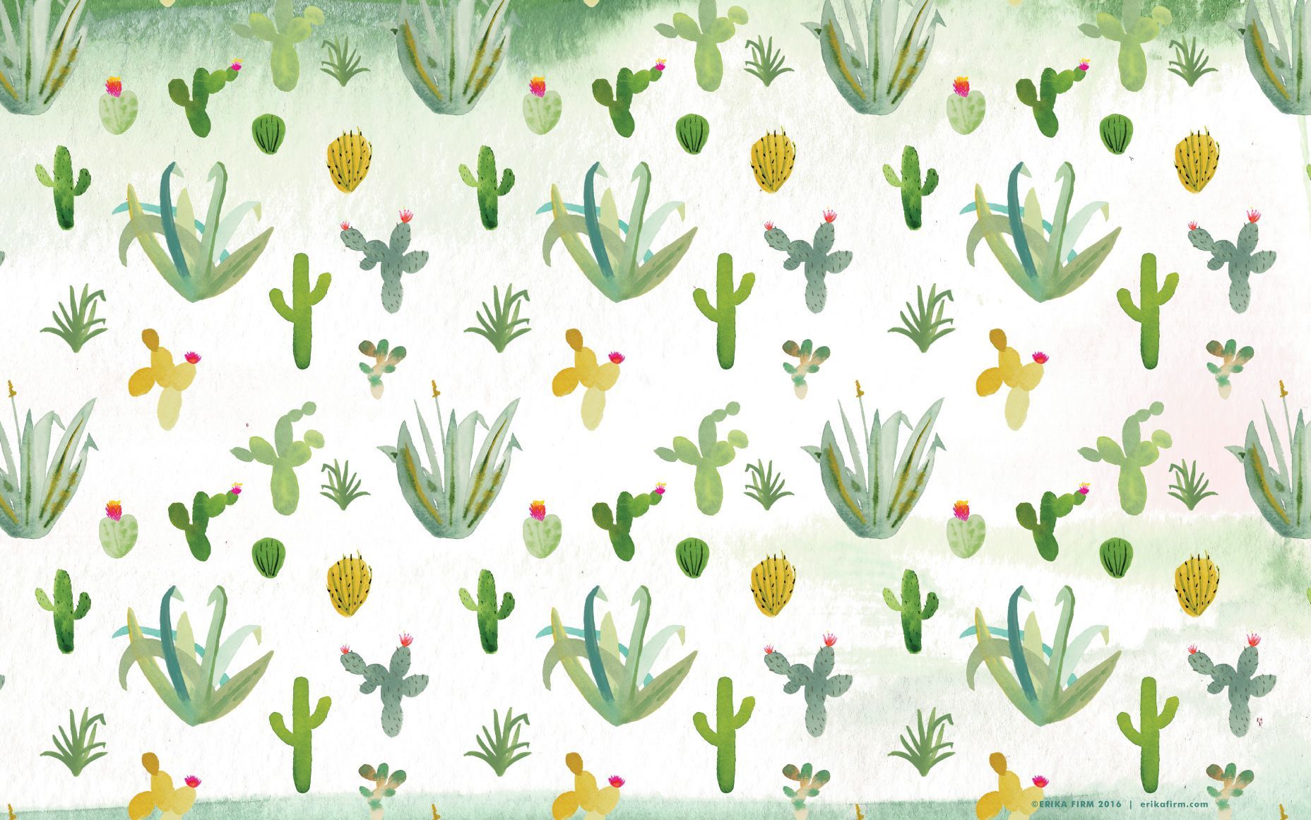 Green Cactus Wallpapers