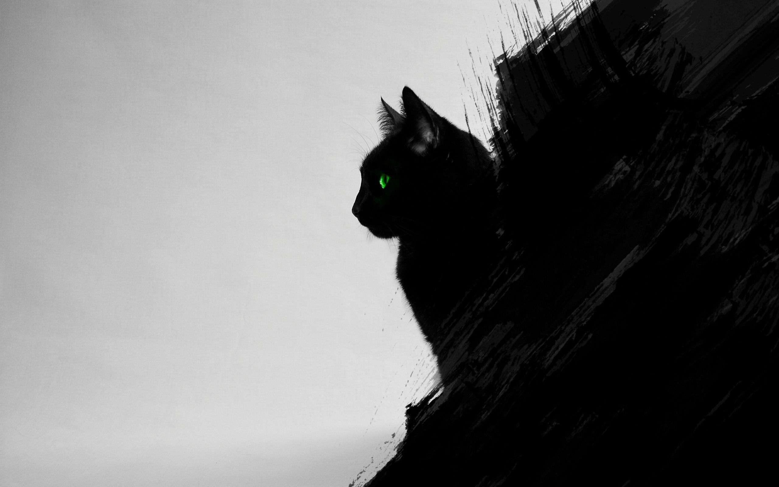 Green Cat Art Wallpapers