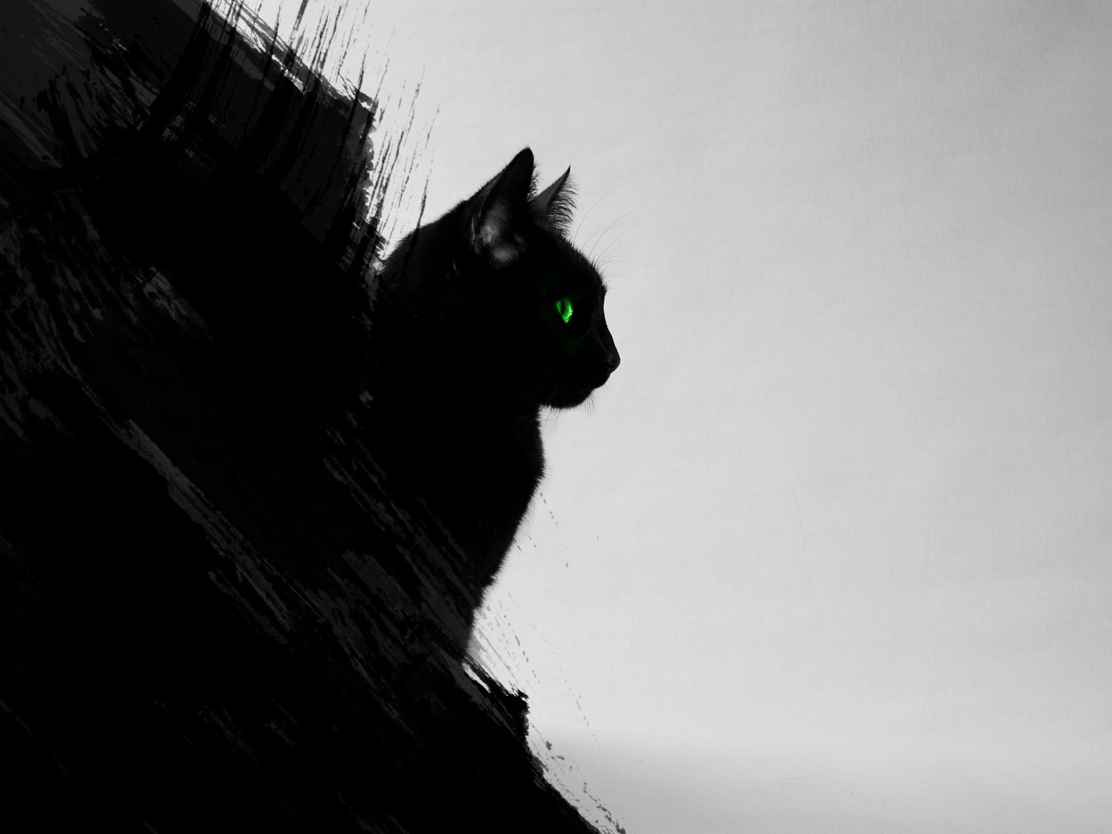 Green Cat Art Wallpapers