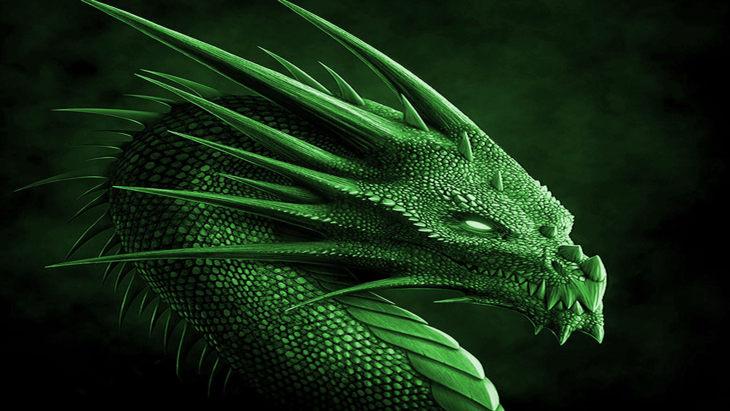 Green Dragon 1920X1080 Wallpapers