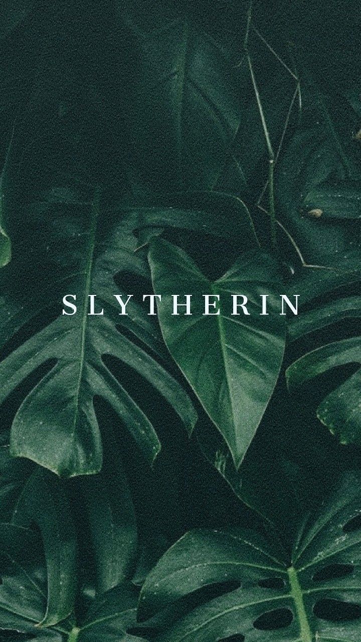 Green Slytherin Aesthetic Wallpapers