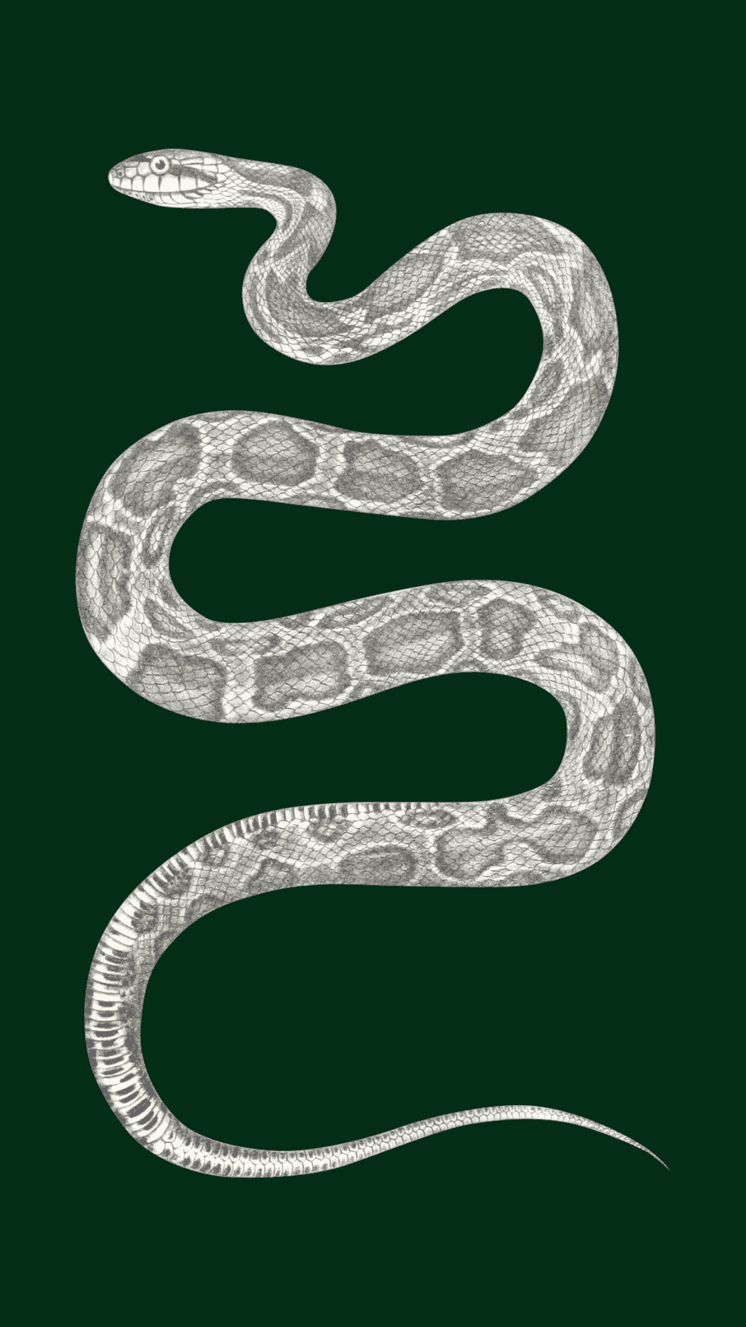 Green Slytherin Aesthetic Wallpapers