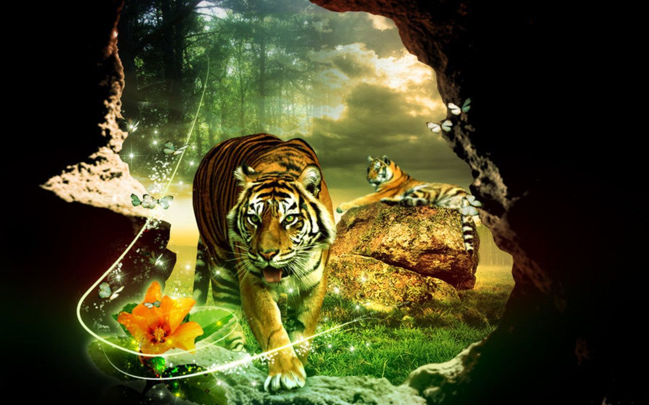 Green Tiger Wallpapers