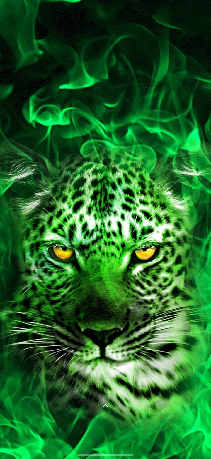 Green Tiger Wallpapers