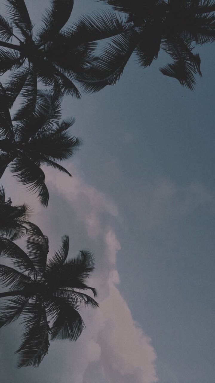 Grey Tumblr Wallpapers