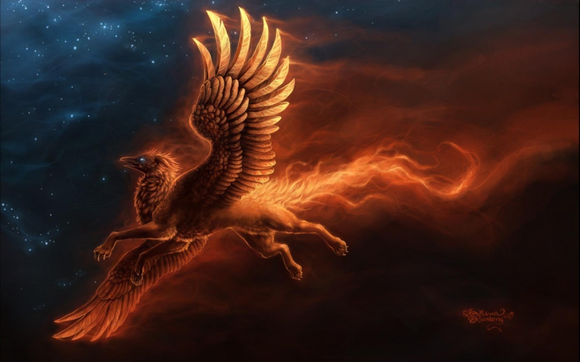 Griffin Wallpapers