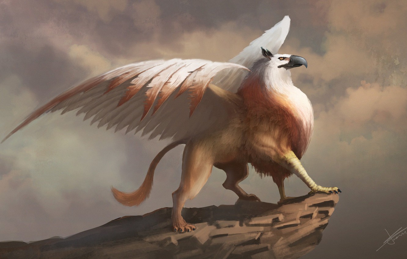 Griffins Mythical Creatures Wallpapers