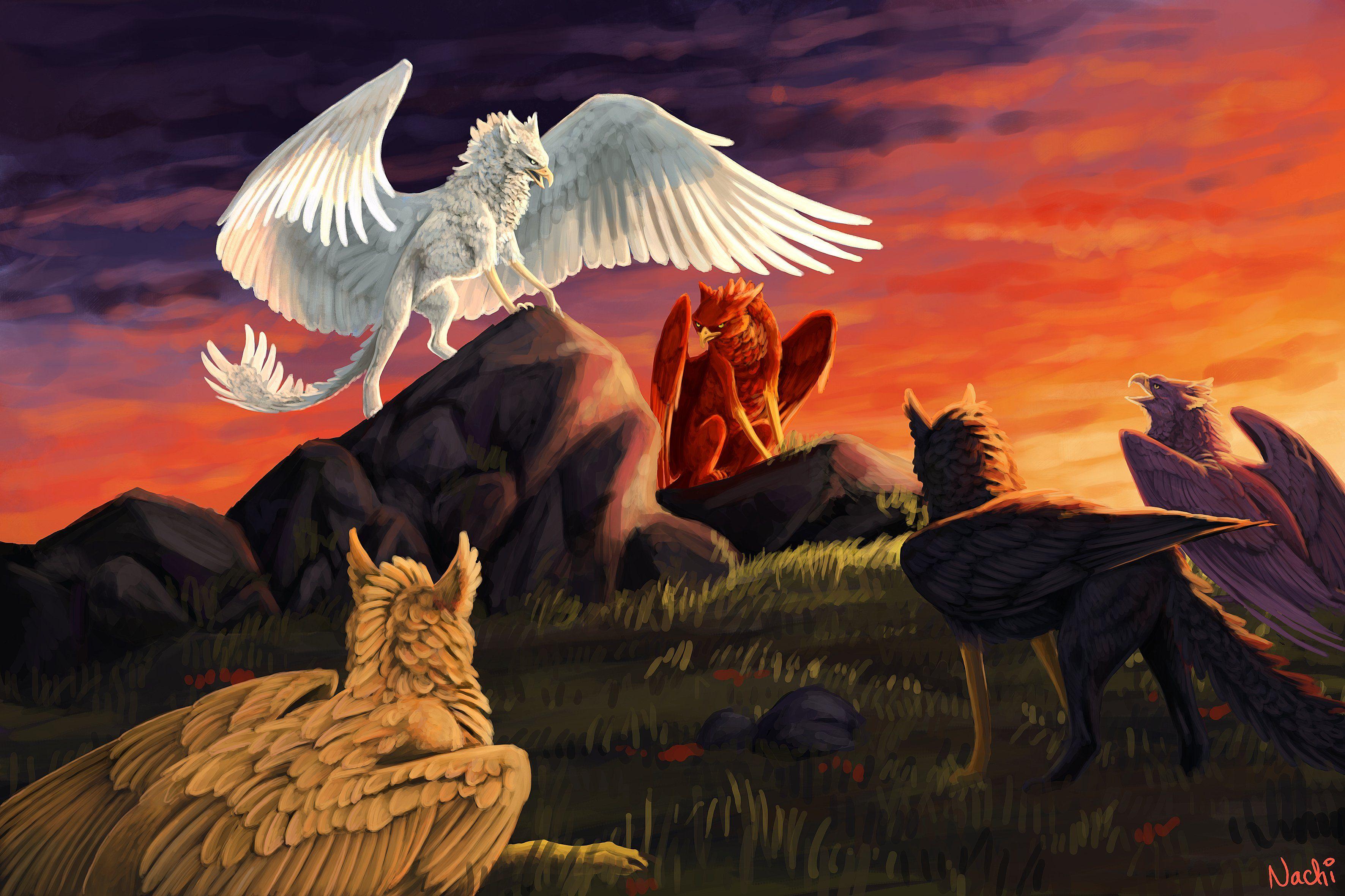 Griffins Mythical Creatures Wallpapers