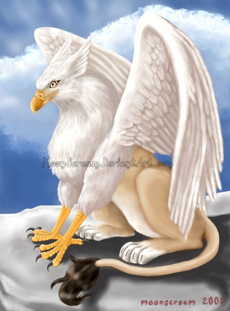 Griffins Mythical Creatures Wallpapers