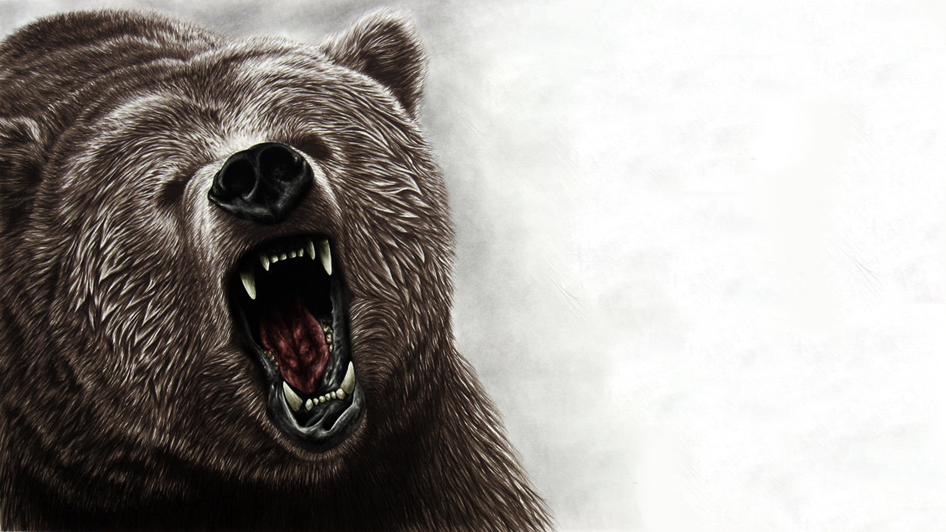 Grizzly Bear Wallpapers