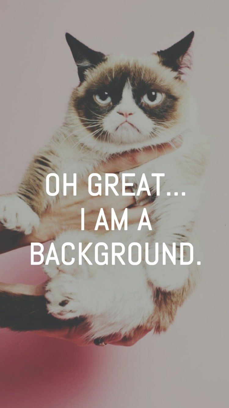 Grumpy Cat Wallpapers