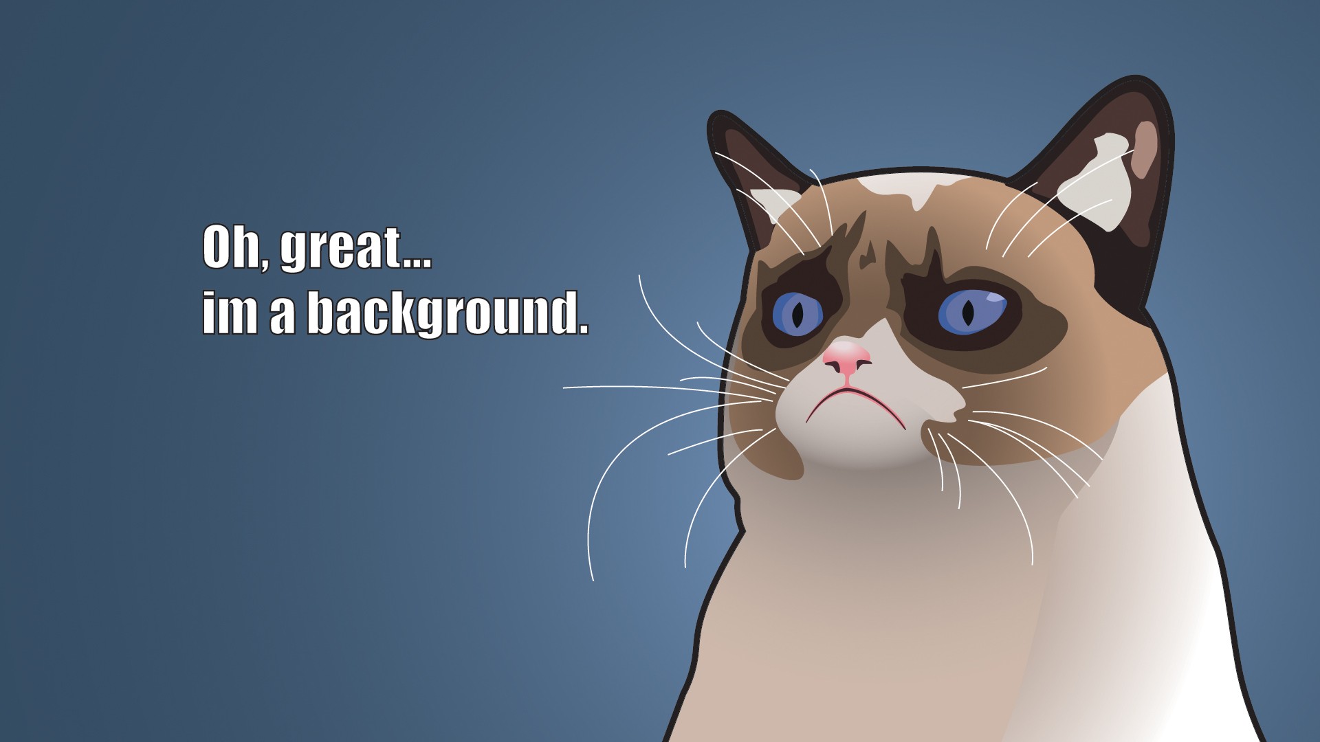 Grumpy Cat Wallpapers