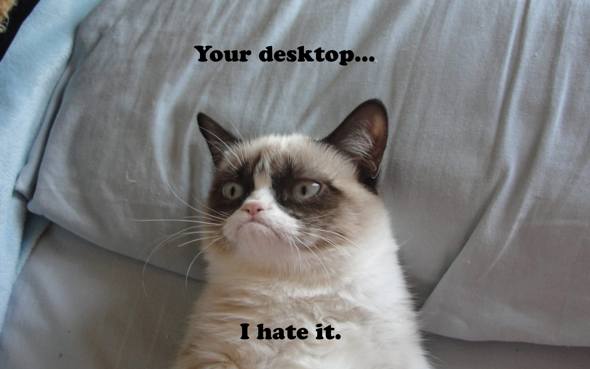 Grumpy Cat Wallpapers