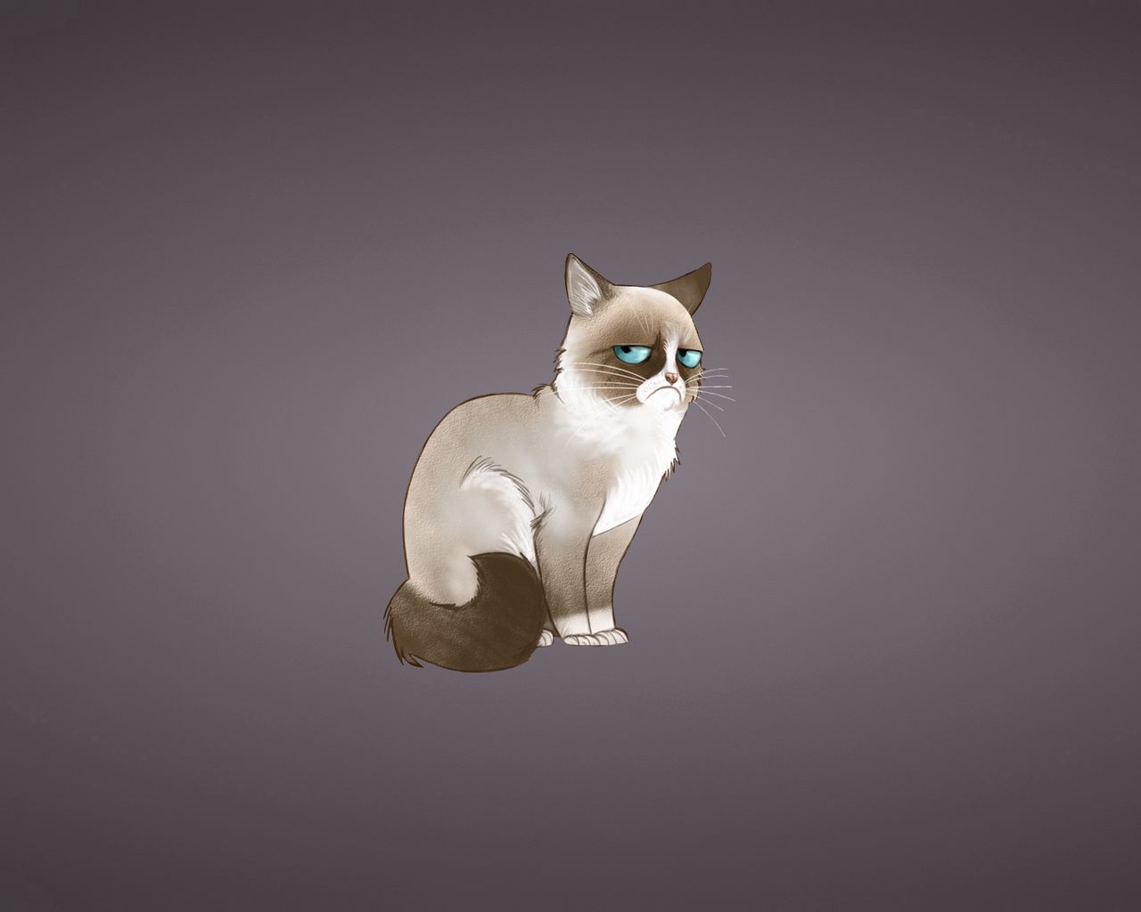 Grumpy Cat Wallpapers