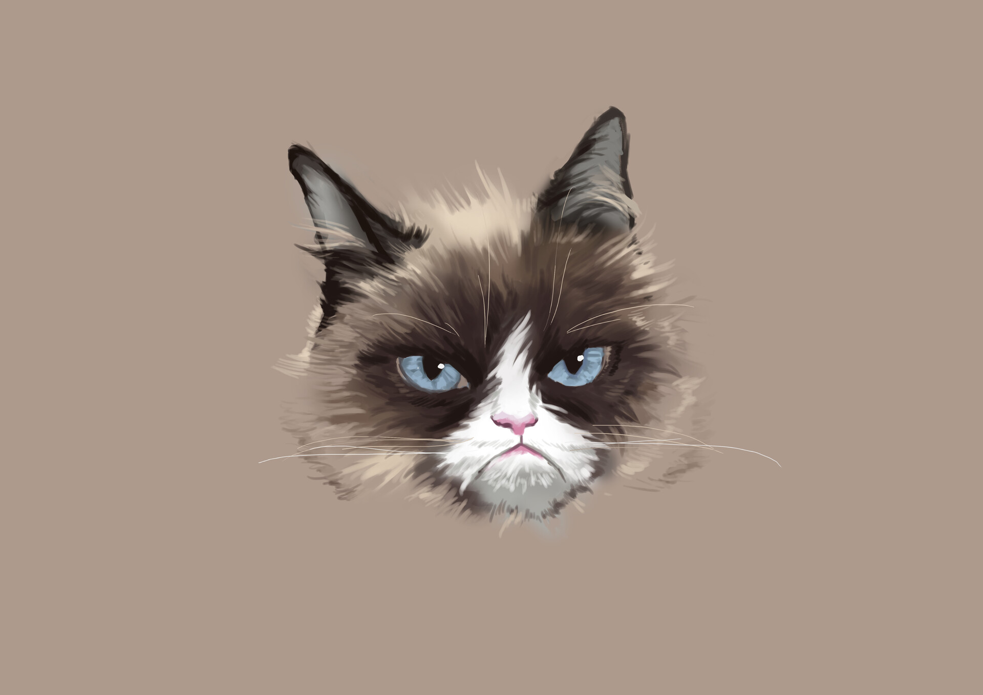 Grumpy Cat Wallpapers