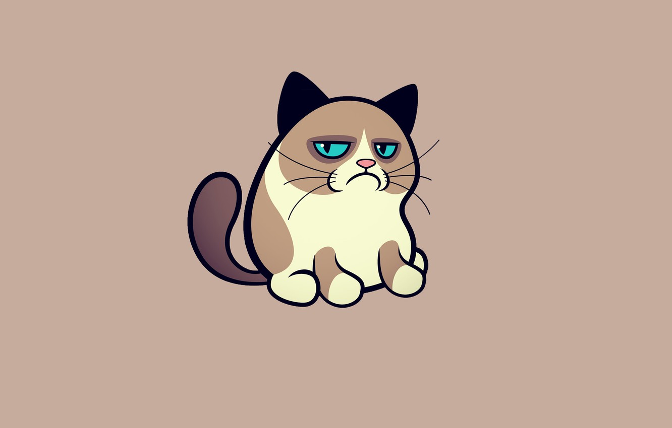 Grumpy Cat Free Wallpapers