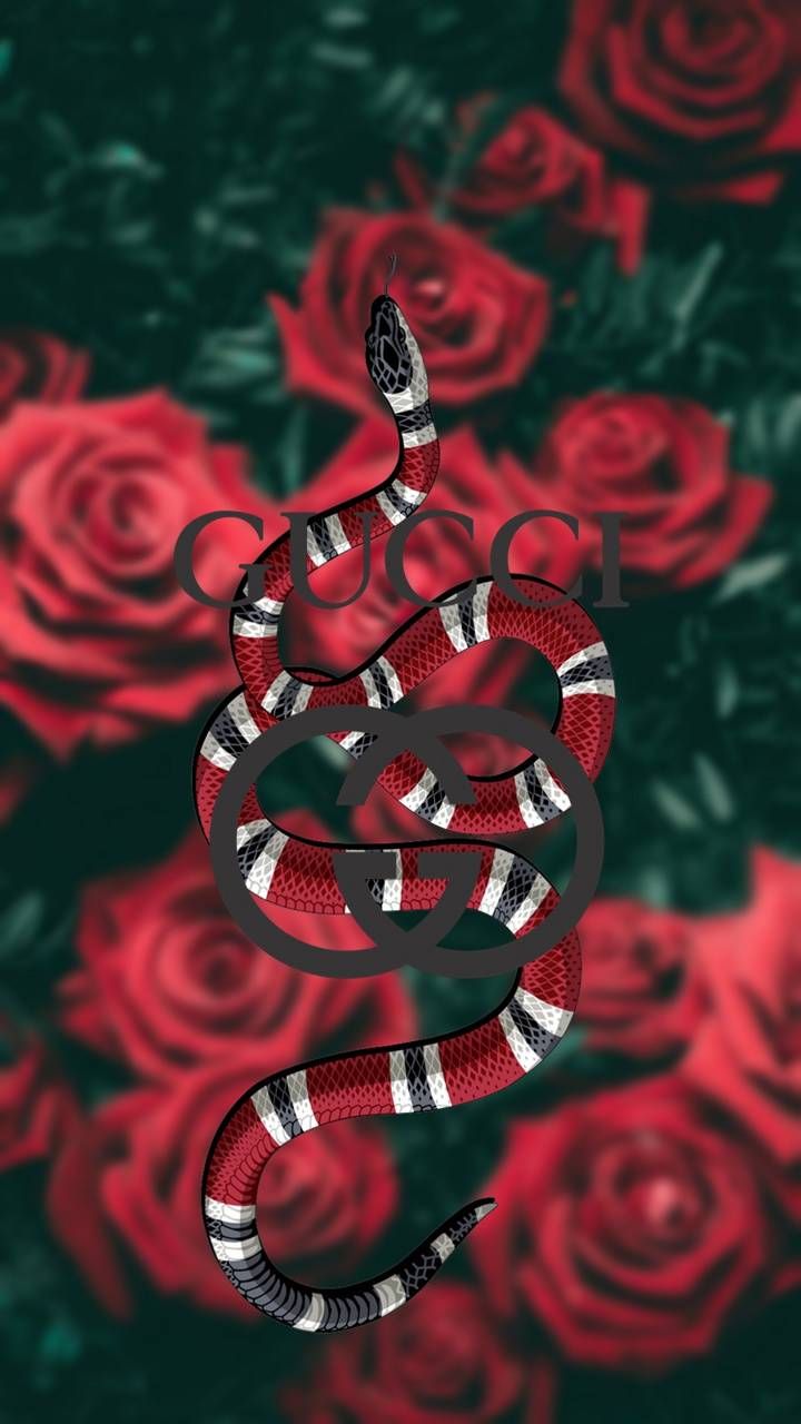 Gucci Bape Wallpapers