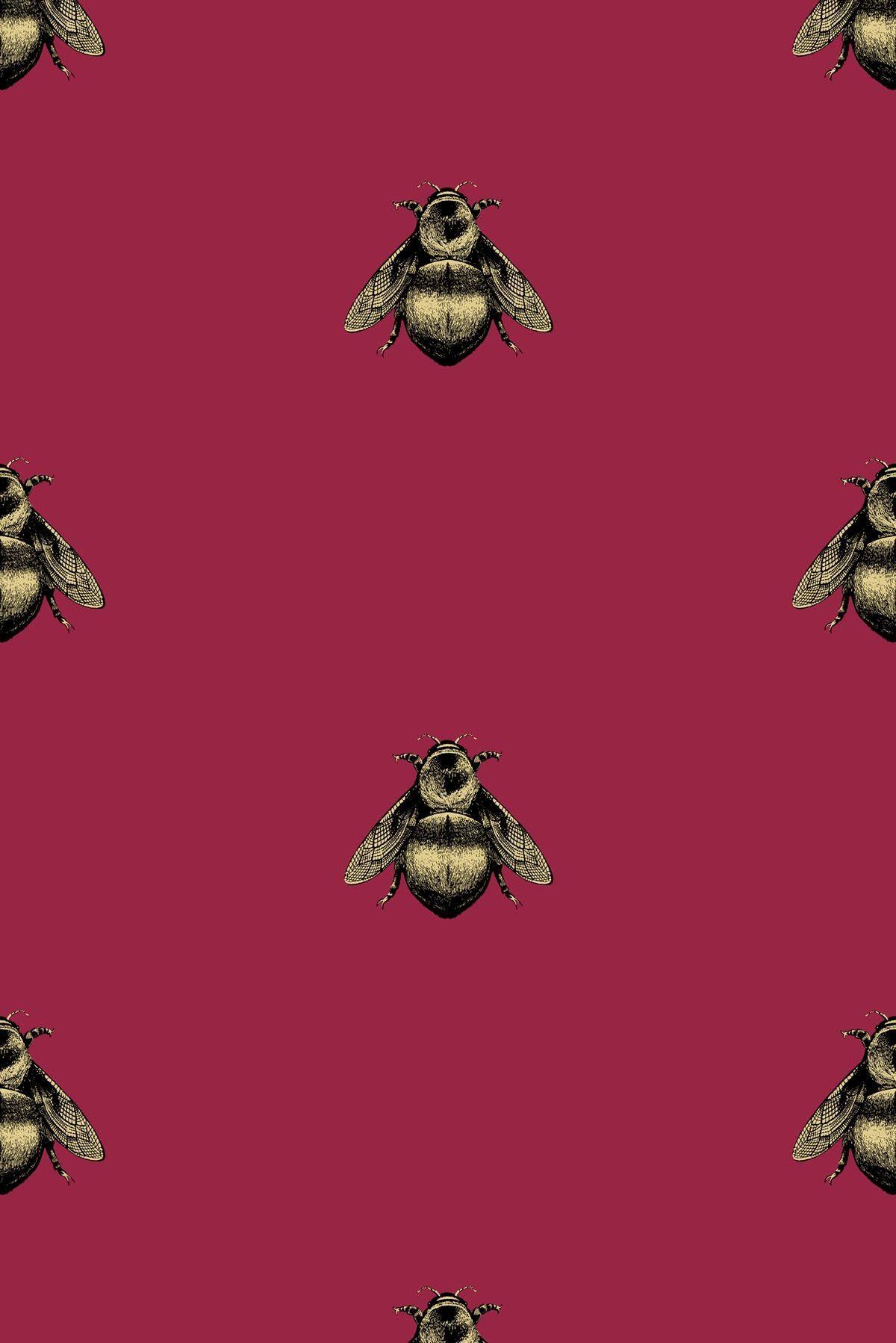 Gucci Bee Image Wallpapers