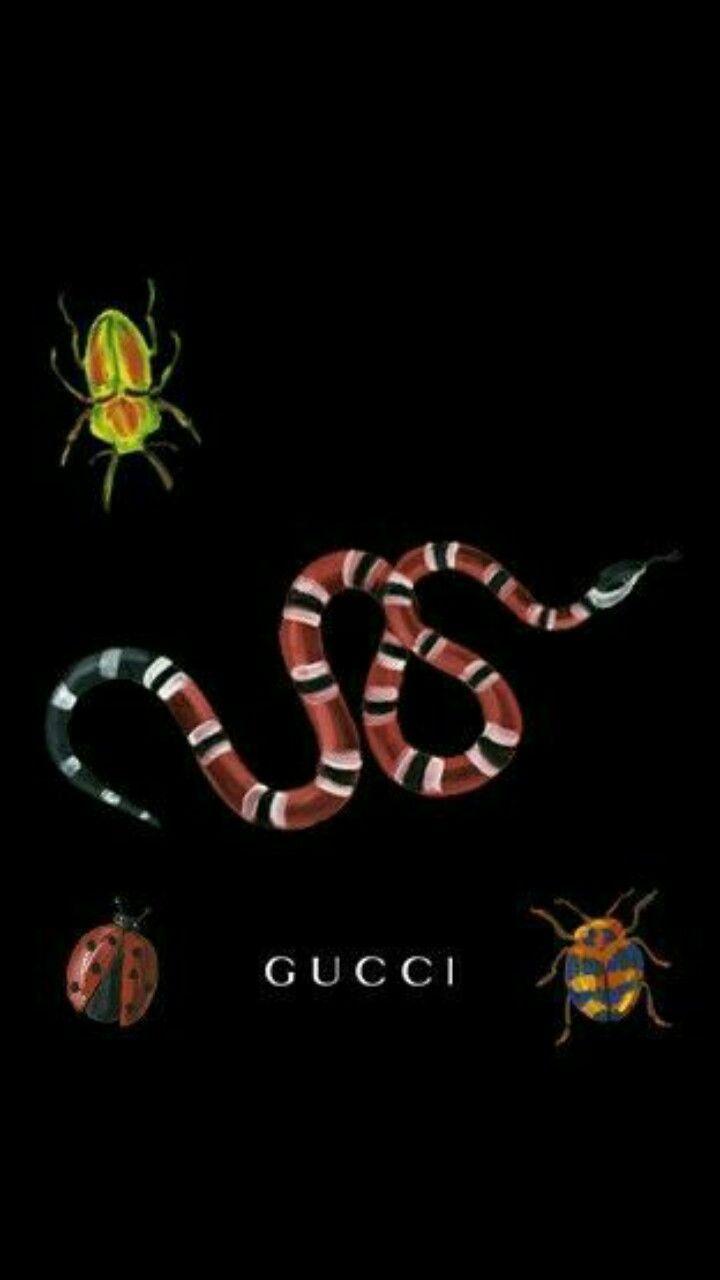 Gucci Logo Snake Wallpapers