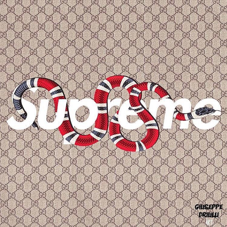 Gucci Supreme Wallpapers