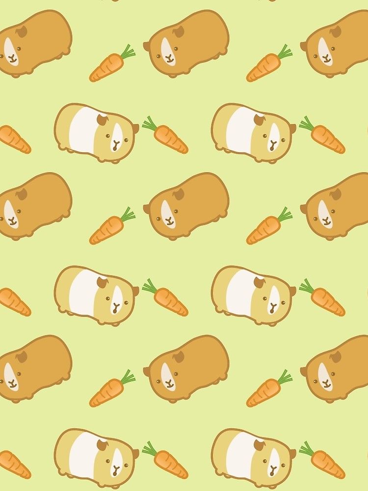 Guinea Pig Iphone Wallpapers